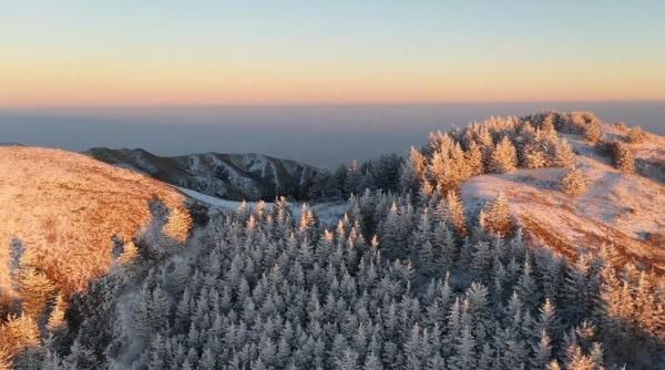 李玲|太壮观！日出下的宁夏罗山有多美