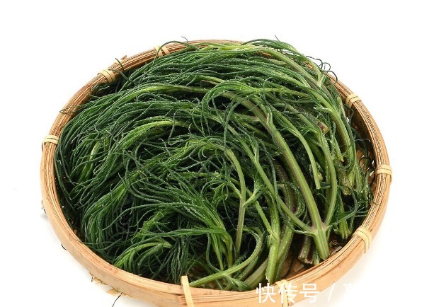 吃法|68种野菜图片，教你认识不同的野菜和吃法，你想要的野菜这里都有