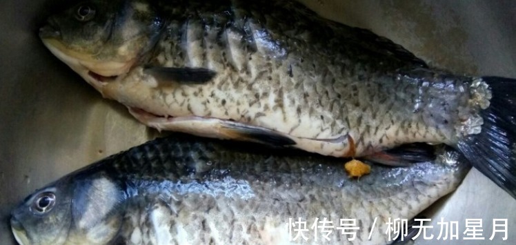 炖鱼汤，做好5个重要步骤，出锅后汤白味道香，不发黑没腥味！