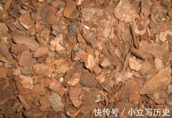 有了农村来的这几样东西,再名贵的花卉都可以养的很好