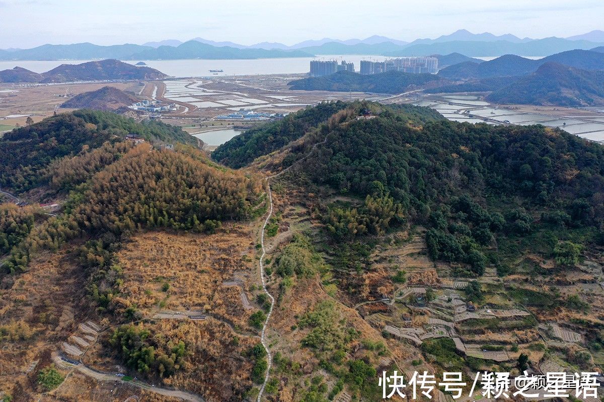 花海|宁波赏梅地，梅开成海，首选一二三