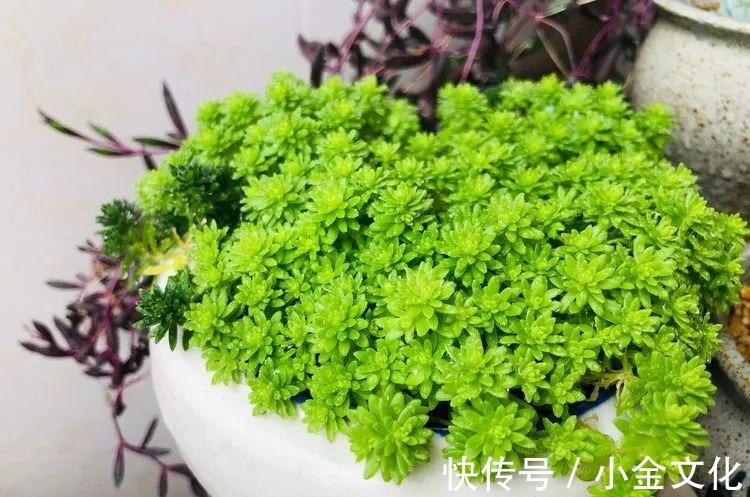 以阳光为滤镜,蓝天为背景,期待拥抱春天,拥抱自然!