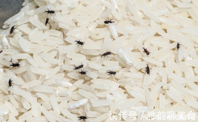 塑料瓶|米面生虫了还能不能吃今天才弄明白，教你7个小妙招