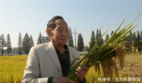 为何袁隆平地位如此崇高？看古代粮食产量，难怪古人那么惧怕饥荒