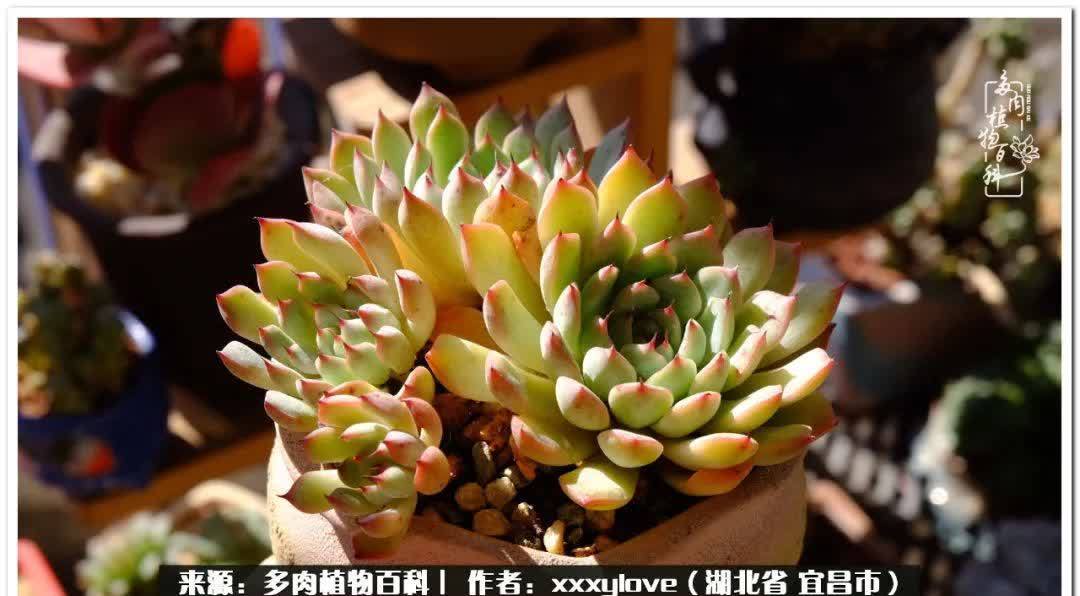 时光匆匆,一闪而逝,这世间万物的美,都值得被记录!