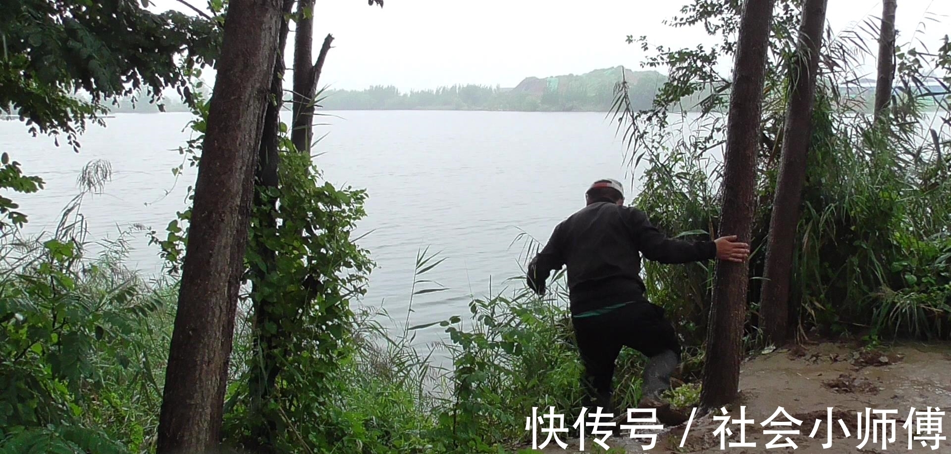 破坏|为了几条便宜鱼,硬生生把自己送进了班房,钓鱼人的天堂遭破坏