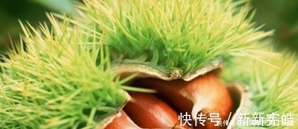 番茄红素|孕妇常吃这4种食物,可以让腹中的胎儿皮肤变白,你有在吃吗