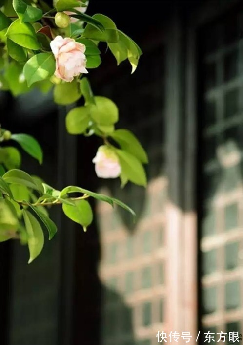 懂得@人生有度,过则为灾(经典)