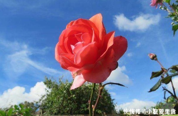 福气|俗话说:多说多错,少说少错,想要一生命好福气大,别说4种话!