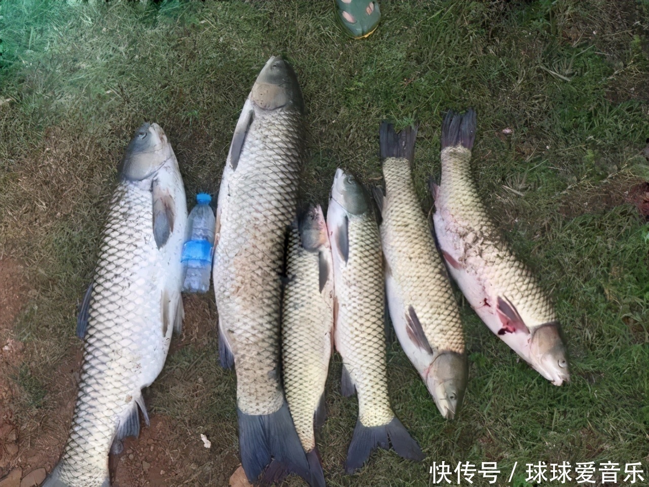 春钓不上鱼,除了温度变化无常,这五个误区,也功不可没