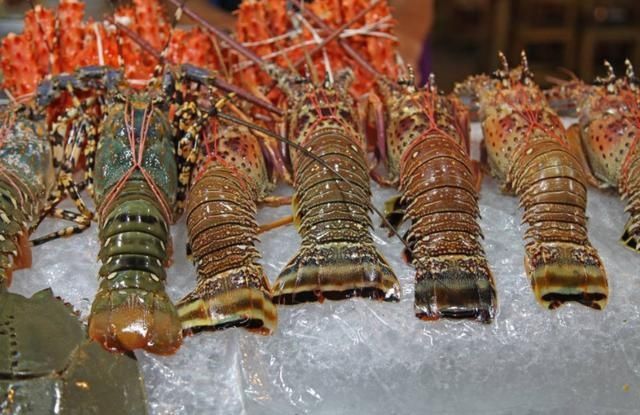 海鲜|含“寄生虫”最多的3种海鲜,没营养还贵,老板自己都不敢吃