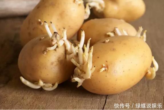 土豆发芽千万别扔!用处太大,99人都不知道,现在知道还不晚