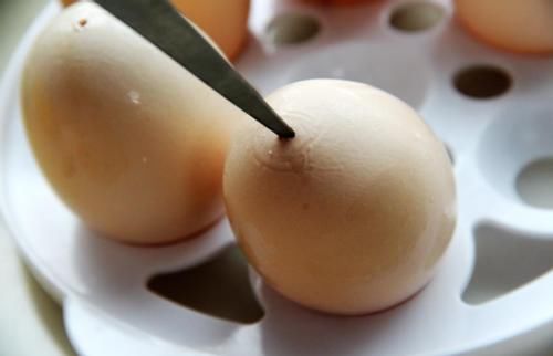 鸡蛋壳于养花而言，就是理想的防御工事、养分、容器