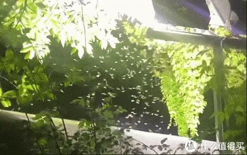 蚊虫|家住一楼二楼,想要住得更省事舒适,门窗应该怎样设计?