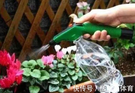 早上和晚上“浇花”大有区别，很多人都浇错了，难怪花草长不好