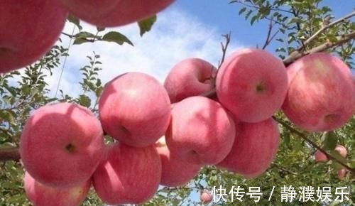 卷心菜|十大长寿食品已公布,大蒜只排末尾,前3名常吃延年益寿不是问题
