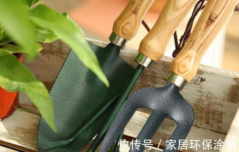 浇灌|不同程度的花土板结情况该怎么解决?