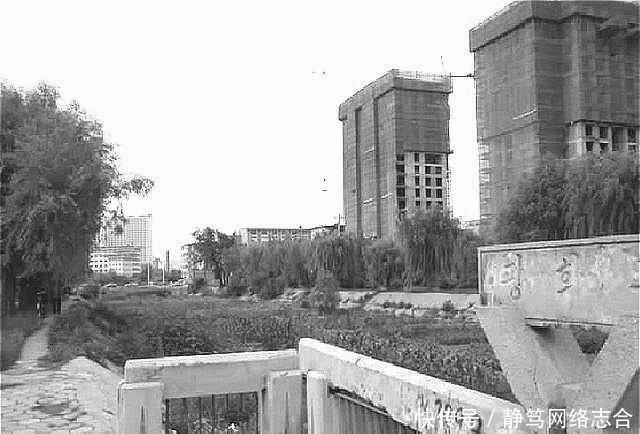 还要|婉容下葬只有破席子包裹,埋在河沟,还要担心被野狗抛而食之