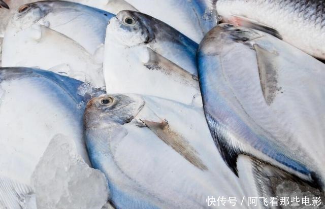 开海后,买鱼专挑这4种,好吃还实惠,连卖鱼的都夸你是行家