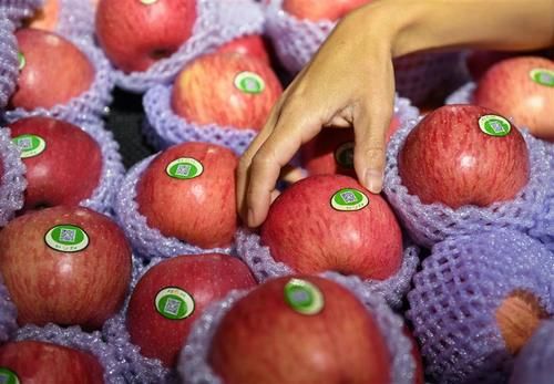 肖复兴北大荒插队时代就会做这道西餐,还少不了叫“味美思”的葡萄酒