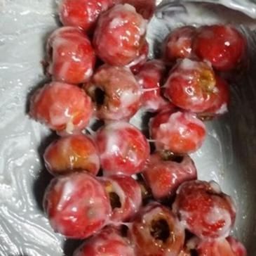 山楂加冰糖,教你在家自制“糖雪球”,5分钟学会,山楂酸甜可口
