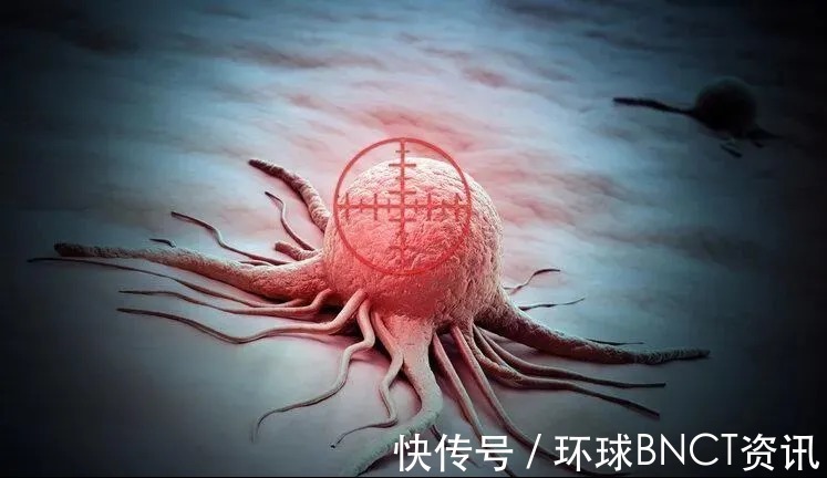 癌症治疗|为什么BNCT可以适用于多种癌症?