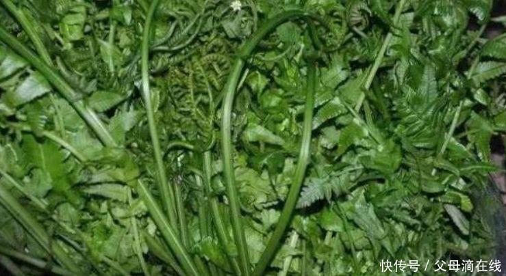 中年|女性到了中年,推荐常吃3种食物,延缓衰老,预防心血管疾病