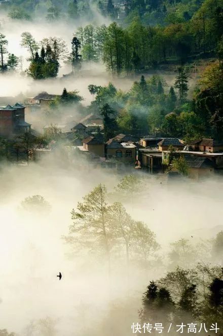 边城#人生一世,难得糊涂