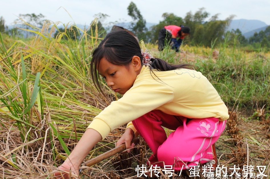 农村|农村孩子那么能吃苦，为啥长大后却混不好？原因简单又现实