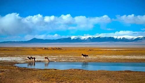 壮美|青海省最美的5大景点，勾勒出壮美的山河画卷，你去过吗？