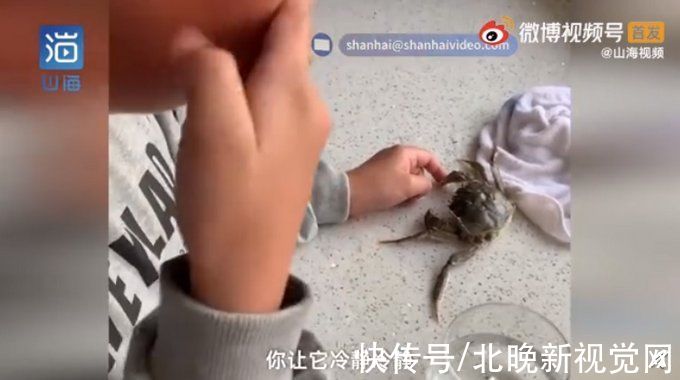 螃蟹|萌化！男童被螃蟹夹手哭着让它冷静