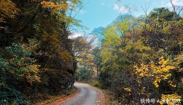 秘境|媲美光雾山！平武这条沟，藏着一个惊艳的彩林秘境！