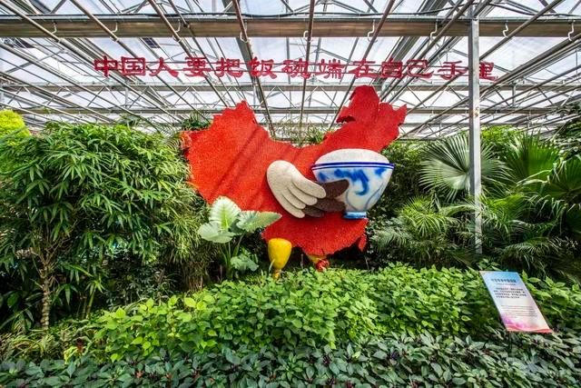 又一打卡地!快来长春农博园赏美景、购好物