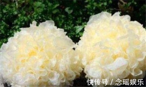 排毒|爱美女性不妨多吃3种食物，润肤养颜，排毒抗衰，爱吃就赚了