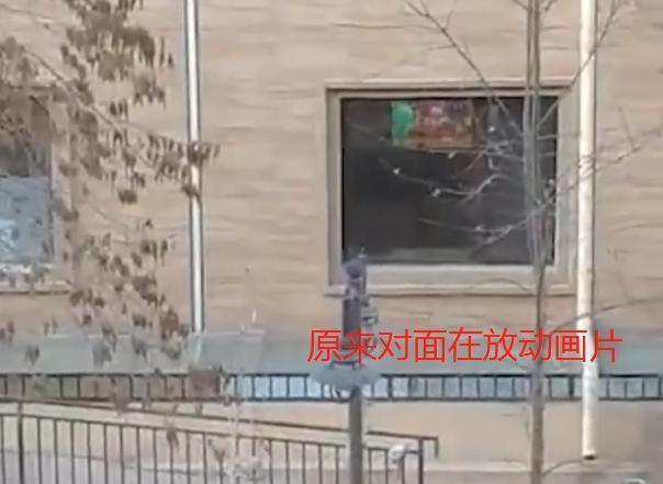 兴趣爱好|妈妈关掉电视后,女儿趴在窗台一个多小时,顺着女儿眼神妈妈慌了