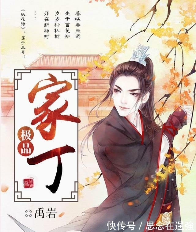 极品家丁@史上最好看的10本历史架空小说:《极品家丁》排第六!