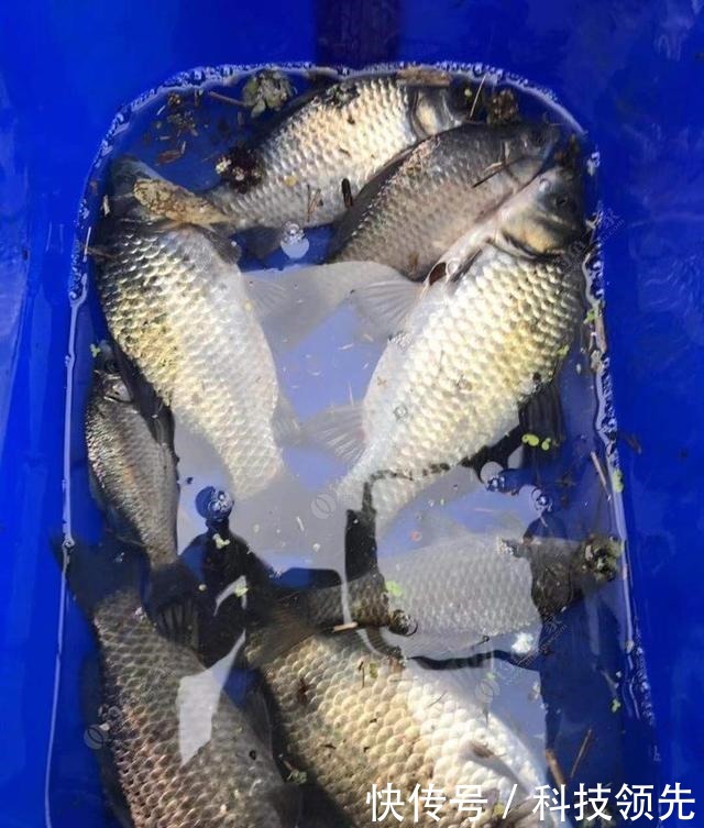 钓鱼的三个阶段,各位钓友你们现在处于哪个阶段