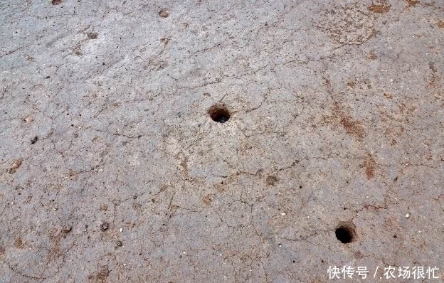 考古队靠两个小孔，找到5000年前墓群，打开齐呼：原始巨人