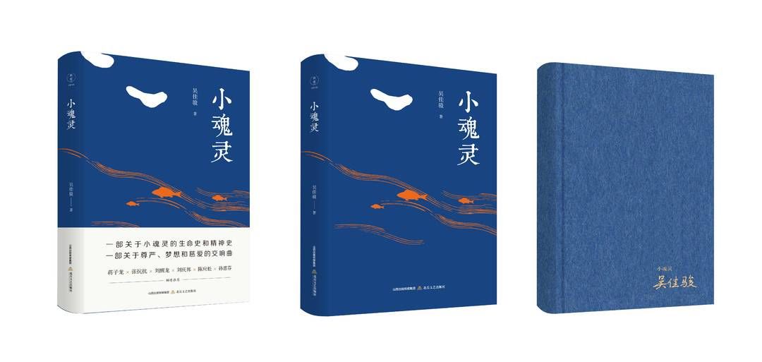 诗情|【品读】“一部关于尊严、梦想和慈爱的交响曲”——散文集《小魂灵》中的人性摹写与诗情