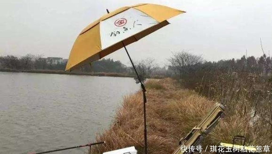 钓手|大板鲫不咬钩,只怪天气不好?老钓手换用这套钓法,刚下竿就中鱼