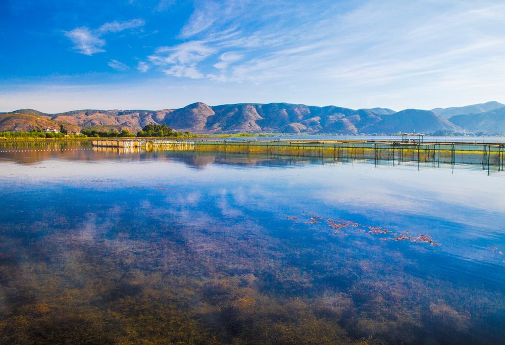 三代接力,一年365天300天在云南!为了祖国的绿水青山,上海交大王欣泽把家安在了洱海