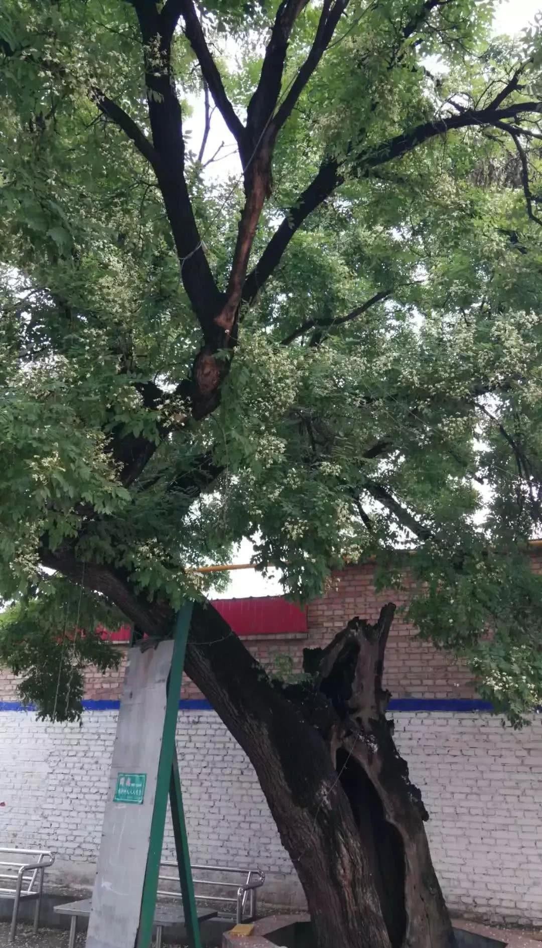 建于北宋时期的徐水古老村庄,有你们村吗?