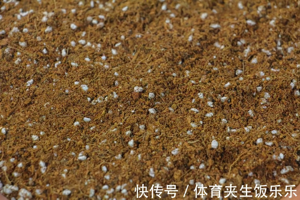 养花就是养土,这些“壳”随处可见,把它们埋土里,土壤不板结