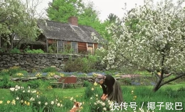 辞官$陶渊明辞官后所作的第一首杂诗,推荐给所有被生活捶过的中年人