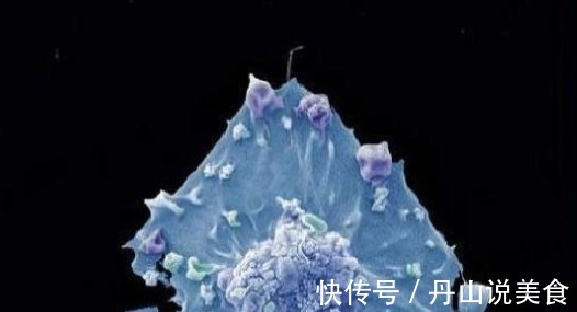 细胞|为什么有些人不易得癌肿瘤科主任他们可能有六个特点