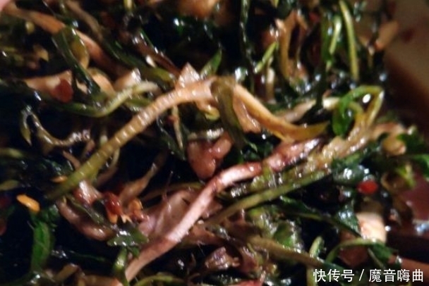  饭桌上不常见的野菜，吃过的人是少数，农村人才认识！