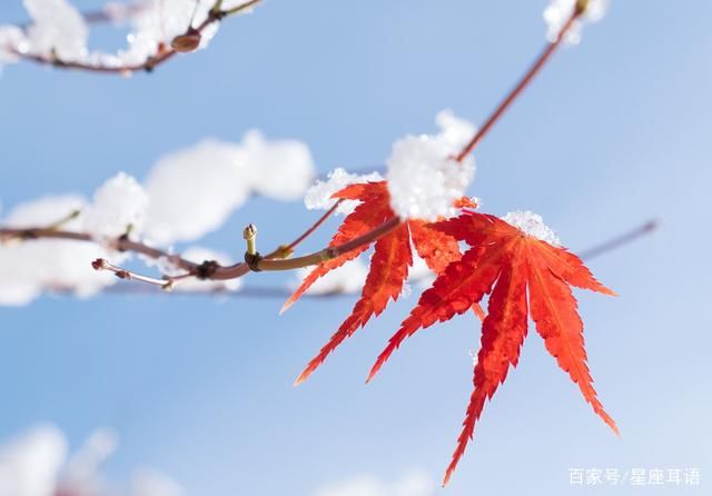 安全距离|社交圈无比干净，层次高的星座，不会随意交朋友，被称人间清醒