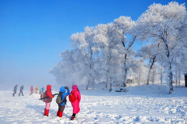 哈尔滨雪乡旅游攻略哈尔滨雪乡包车攻略