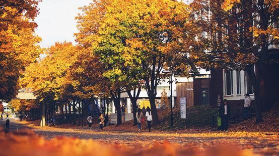 英国留学：招生官解锁华威大学硕士研究生、本科、预科申请新变化