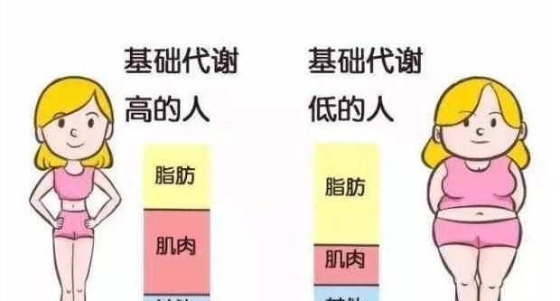 体重|在减肥之前先了解几件事,少走弯路,避开少吃多动也不瘦的问题